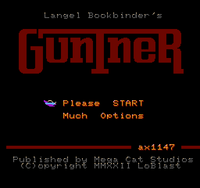 GunTneR Direct from Artist Edition Homebrew